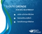 Preview: Hechtkraut - Pontederia cordata